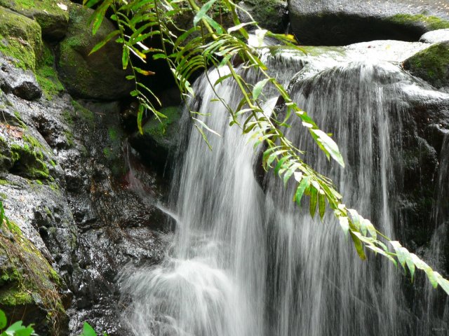 87- Petite chute d'eau 